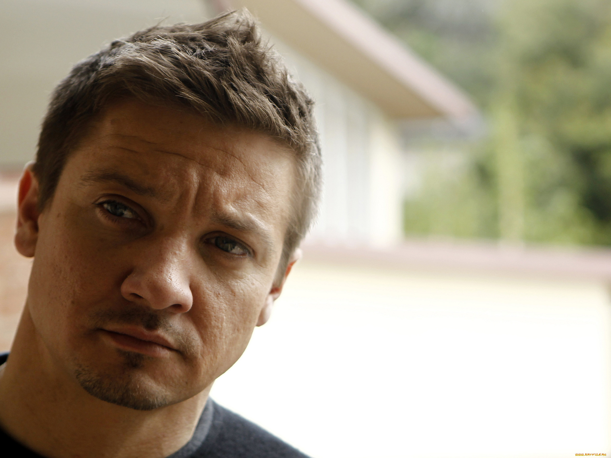 jeremy, renner, , , , 